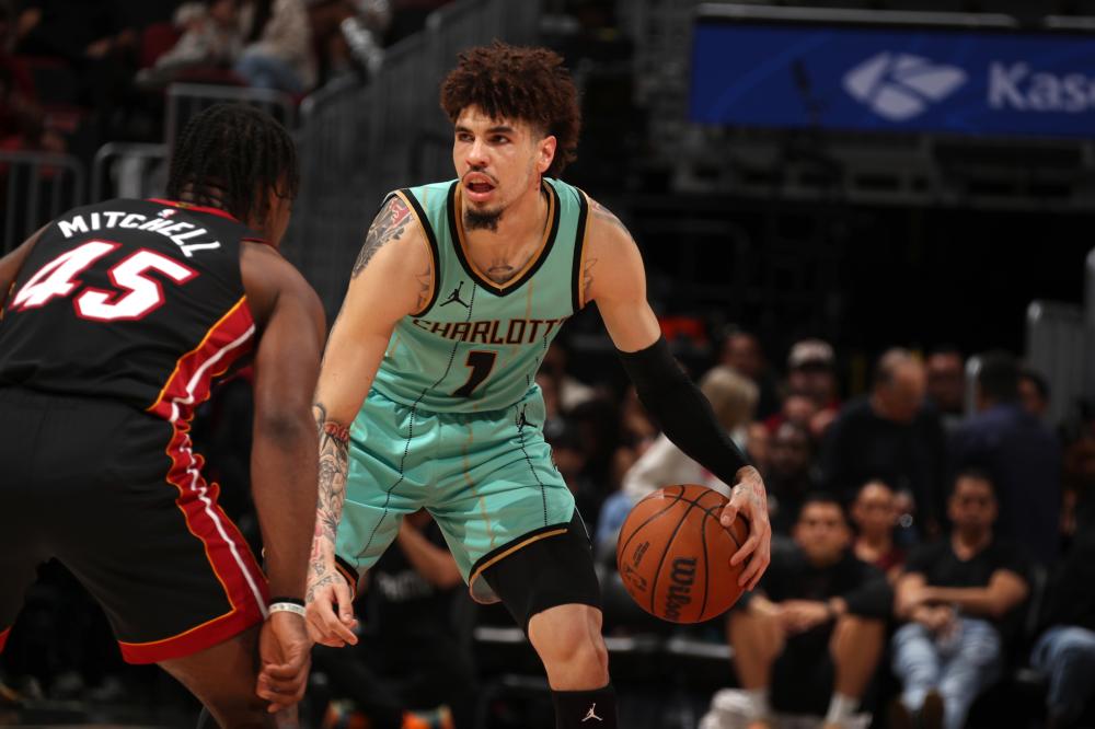 他们在去年 他们在去年