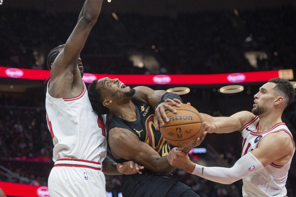 职业球员面 职业球员面