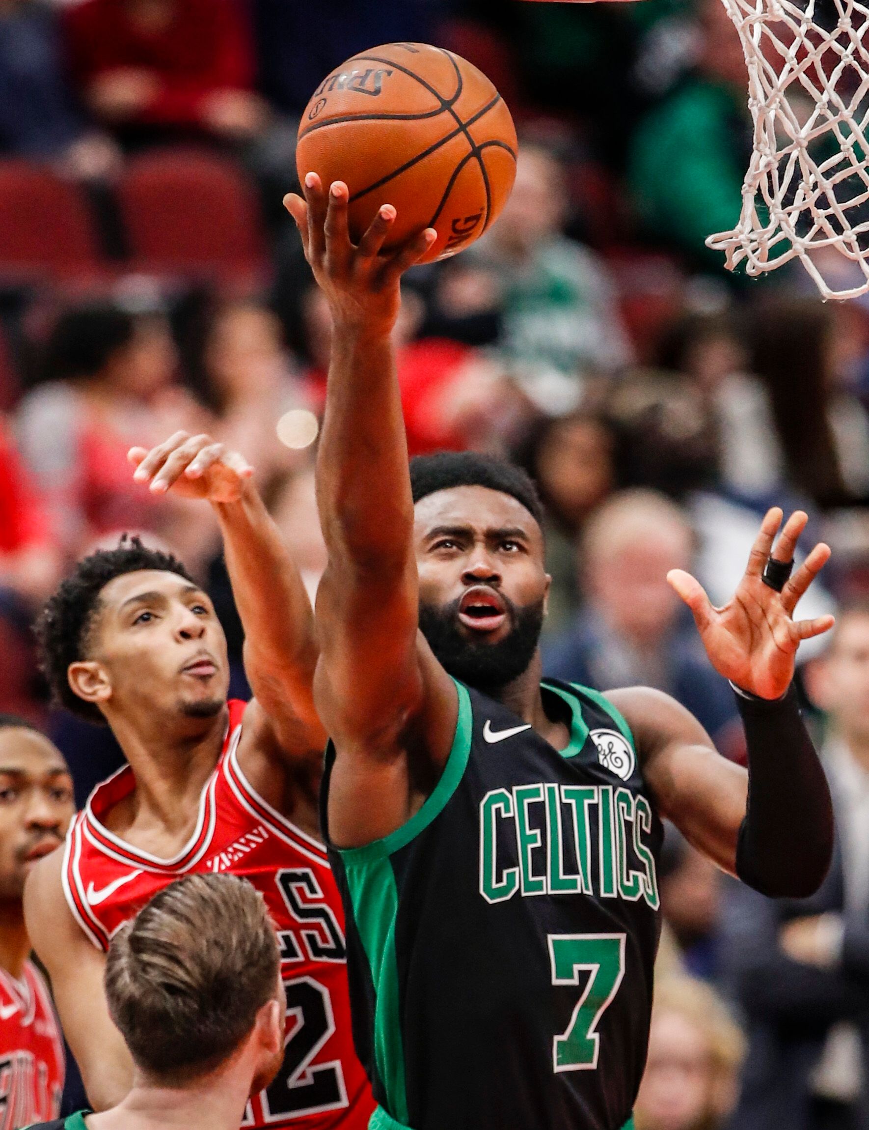 来了巨大的 来了巨大的